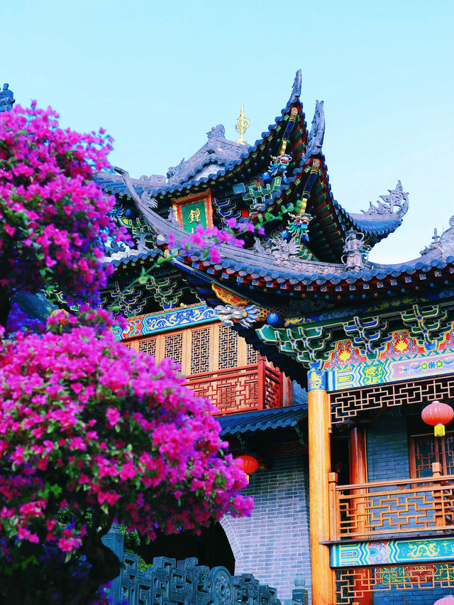 深圳這個三角梅盛開的海邊古寺，意境太美！
