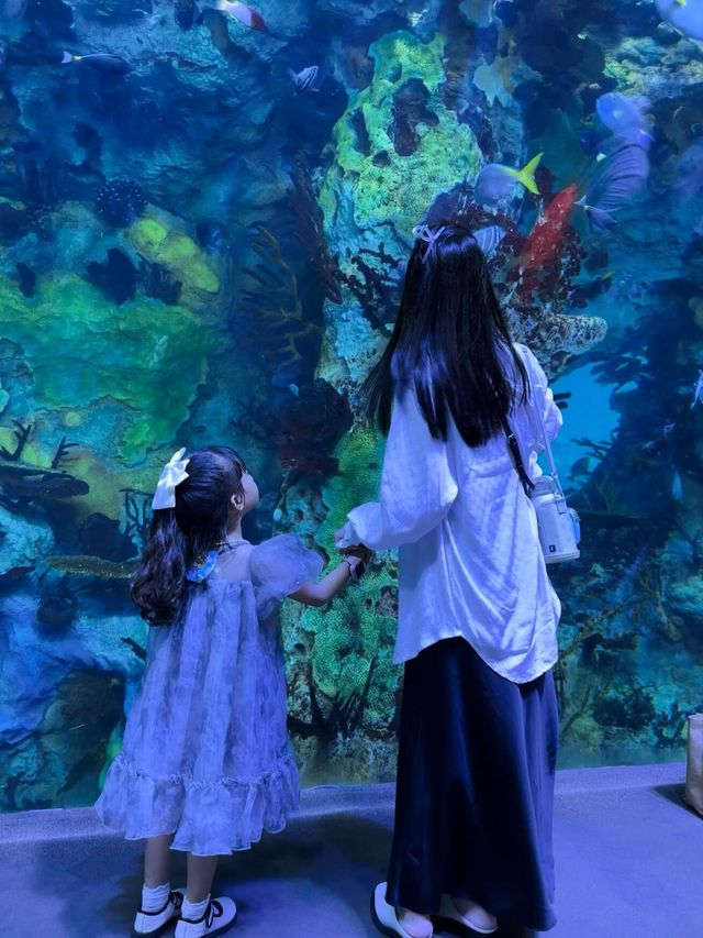 2大2小珠海長隆親子遊！玩到不想回家！||行程總結先碼