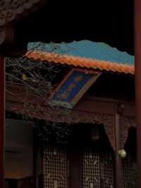 你鏡頭裡的南京秋天，還差這些地方