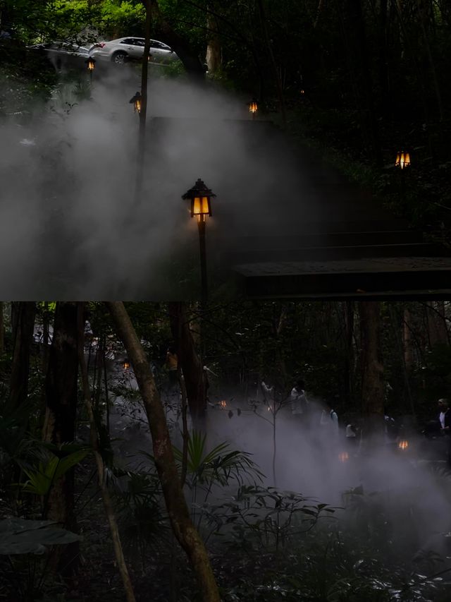 杭州桂花初綻！這條賞桂徒步線要擠爆？避峰攻略收好