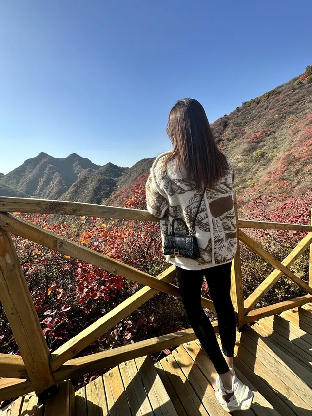 北京最美秋天在這！免費紅葉步道美到窒息
