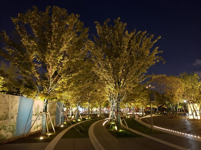 龍華會申城新地標，越夜越精彩