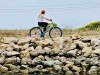 洛杉磯植物園 孔雀園 蓋蒂中心 天文台