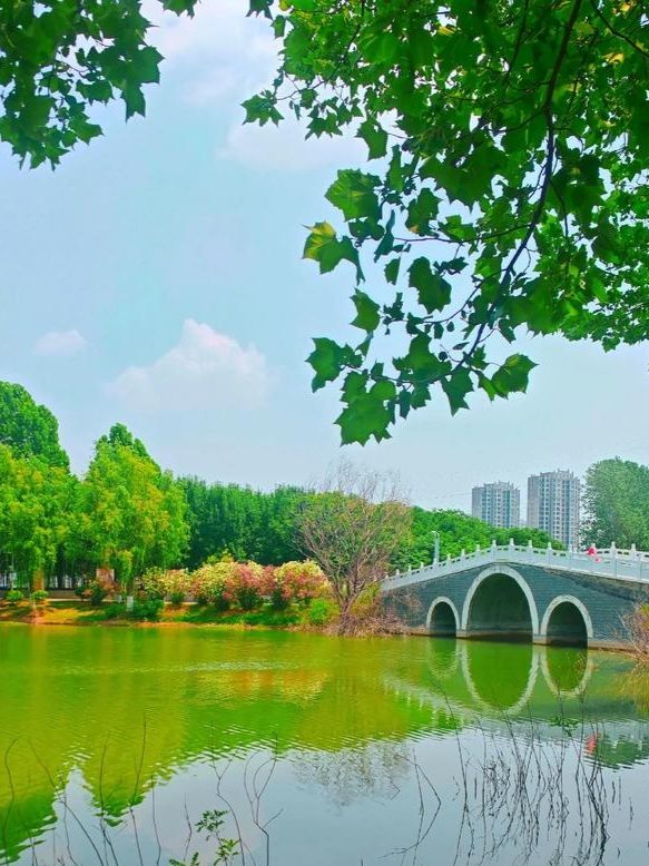河南省周口市旅行攻略