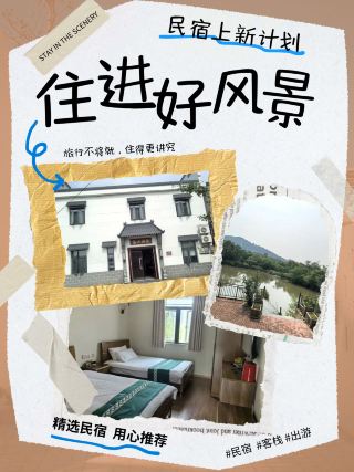 A light luxury homestay in the tea mountain mist, every casual shot looks like a forest-themed masterpiece