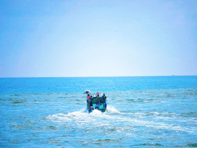 神州半島玩海指南 神州半島玩海指南
