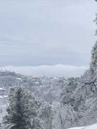 冰雪廬山!霧淞雲海仙境小眾機位全揭秘