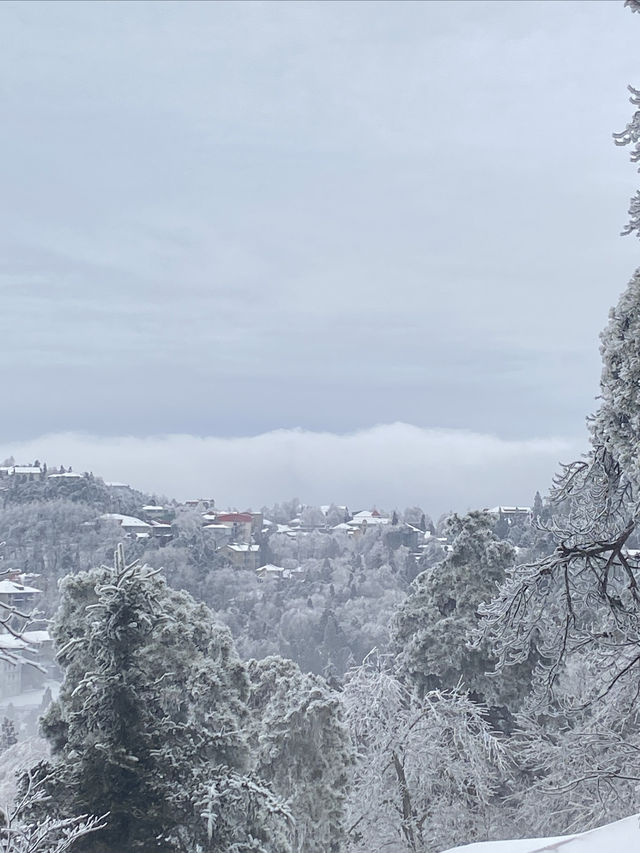 冰雪廬山!霧淞雲海仙境小眾機位全揭秘 冰雪廬山!霧淞雲海仙境小眾機位全揭秘
