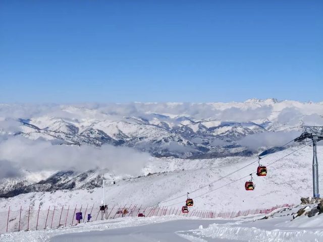 可可托海粉雪盲盒到貨