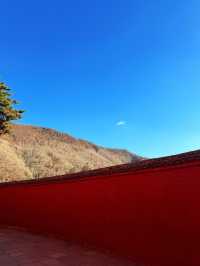 五臺山祈福全攻略|赴一場文殊之約,願六時吉祥