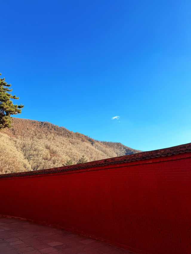 五臺山祈福全攻略|赴一場文殊之約,願六時吉祥 五臺山祈福全攻略|赴一場文殊之約,願六時吉祥