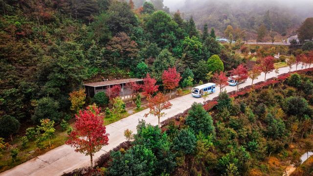 雲端之上的秋日童話秘境 雲端之上的秋日童話秘境