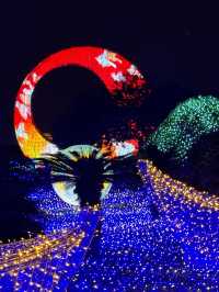 廈門夜遊頂流！園博苑花燈每週末限定浪漫