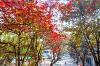 湛江這家酒店太溫馨了