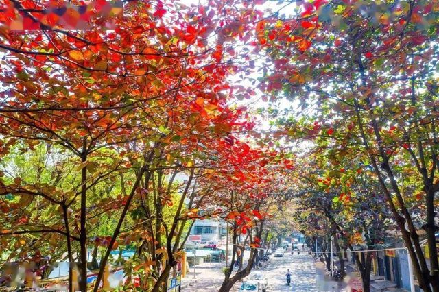 湛江這家酒店太溫馨了 湛江這家酒店太溫馨了