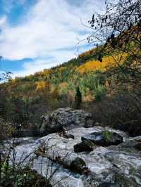 秋色掩映遮陽山