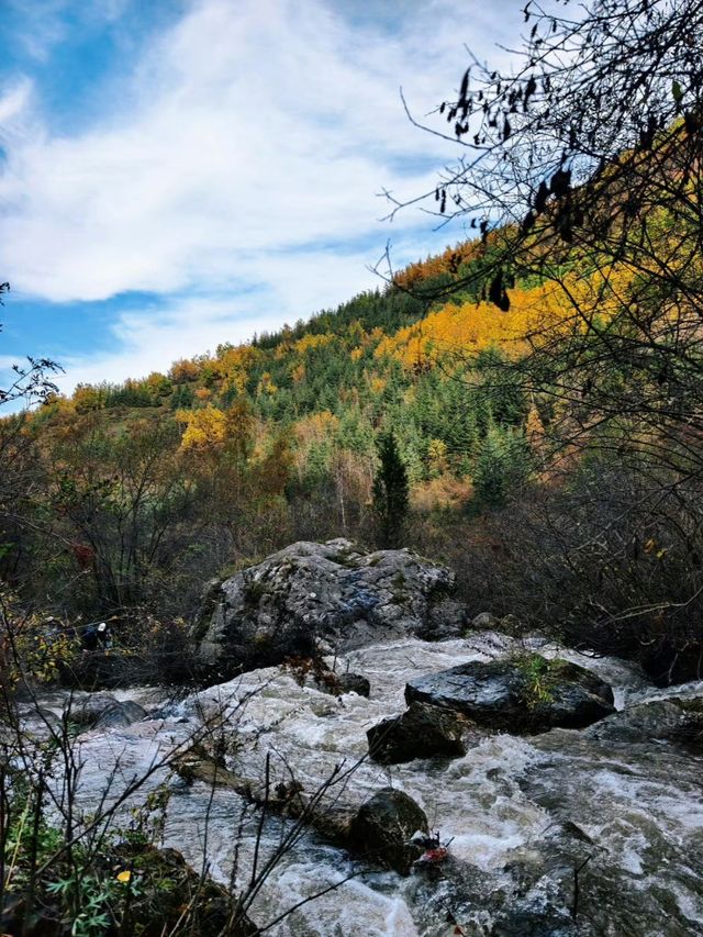 秋色掩映遮陽山