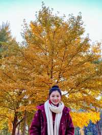 西安嘅秋天,明明係夢回「長安」|三日遊玩攻略