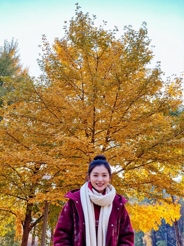 西安嘅秋天,明明係夢回「長安」|三日遊玩攻略 西安嘅秋天,明明係夢回「長安」|三日遊玩攻略