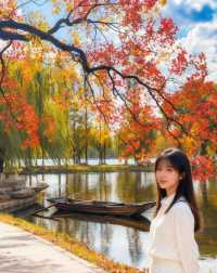 南京賞秋必去！莫愁湖烏桕紅了錯過再等一年