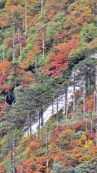 11月和12月西藏旅遊最佳的季節之一|||因為一直特別忙，