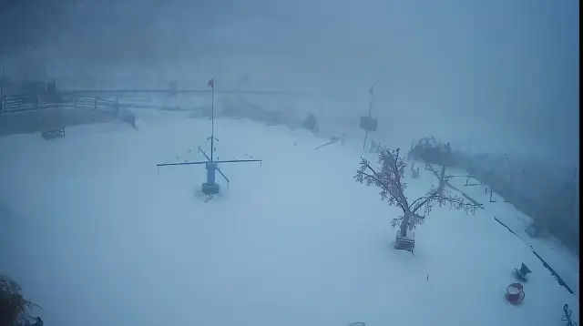 팔대산이 2025년 첫눈을 맞이하다, 독수봉에 쌓인 눈