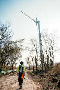 南京止馬嶺 秋季徒步出片指南