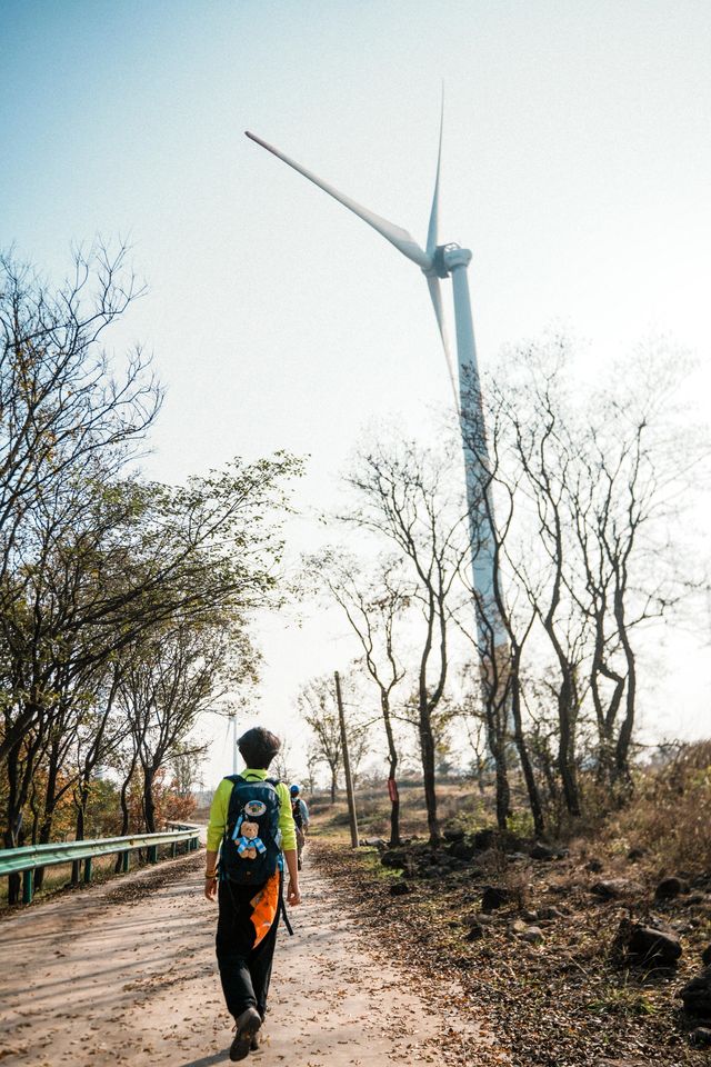 南京止馬嶺 秋季徒步出片指南