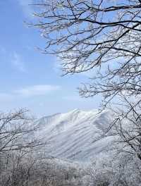 龍王山霧淞仙境冬日限定的冰雪奇緣打開方式