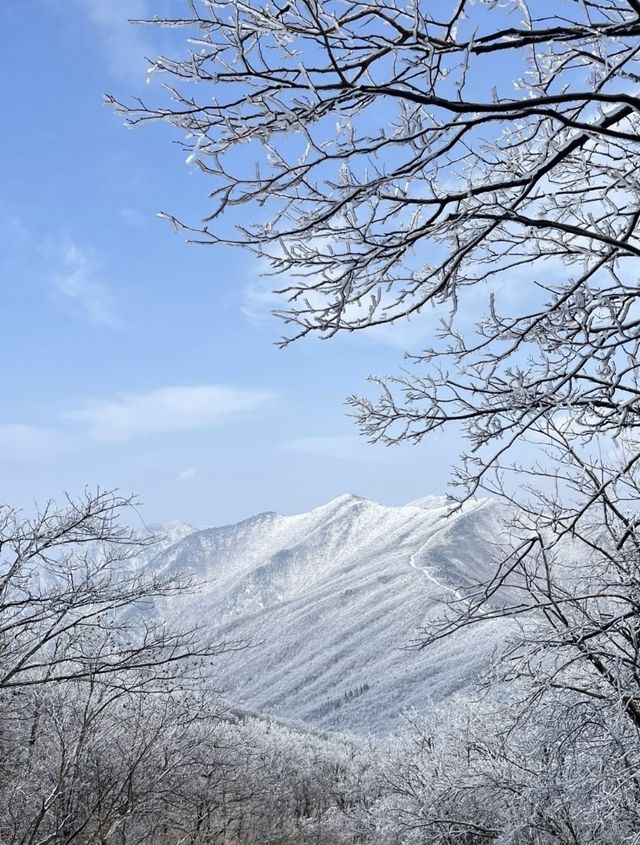 龍王山霧淞仙境冬日限定的冰雪奇緣打開方式