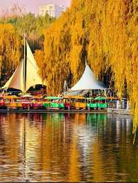 赴一場萬柳塘公園的秋日之約