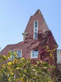 藏在青島的秋日童話,八大關的原生態美太治癒