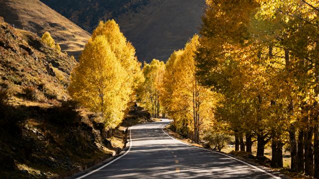 在稻城亞丁的雪域聖境裡，7天解鎖川西的「最後的香格里拉」