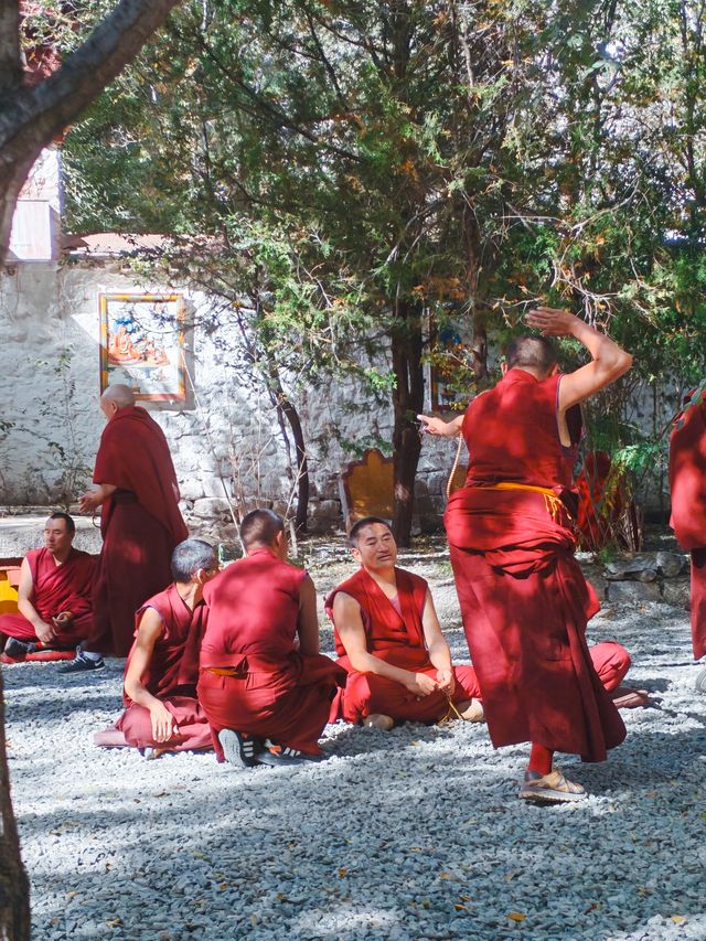 拉薩午後必衝色拉寺的辯經和日落 拉薩午後必衝色拉寺的辯經和日落