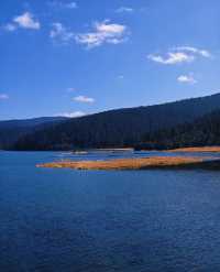 雲南秋日封神!普達措私藏玩法,避開人潮邂逅童話秘境