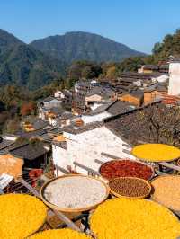 以為皖南的秋天夠美了，直到我去了趟婺源！