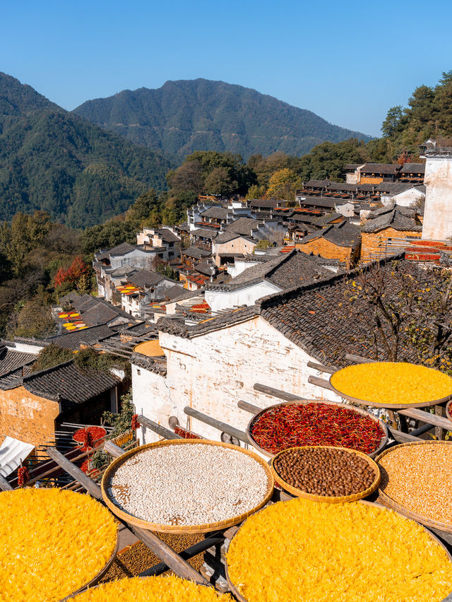 以為皖南的秋天夠美了，直到我去了趟婺源！