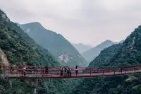 旗山森林公園徒步偶遇猴哥!20km古道+網紅