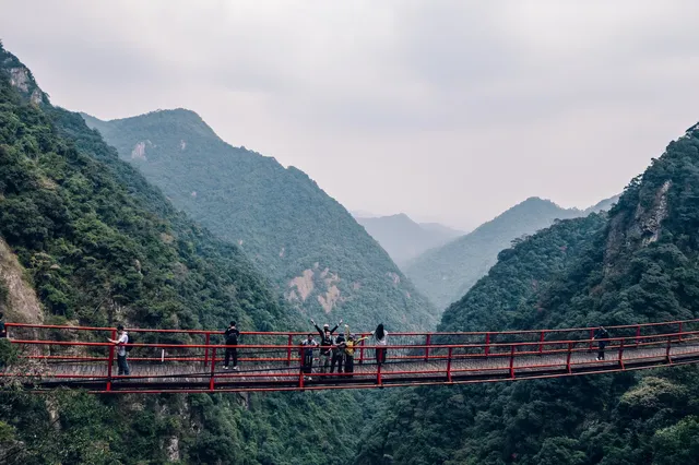 旗山森林公園徒步偶遇猴哥!20km古道+網紅 旗山森林公園徒步偶遇猴哥!20km古道+網紅