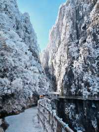 【莽山冬季仙境｜2天1夜霧淞溫泉全攻略！