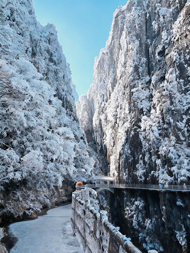 【莽山冬季仙境｜2天1夜霧淞溫泉全攻略！