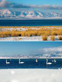 闖入阿勒泰與賽里木湖做一場遠方的夢