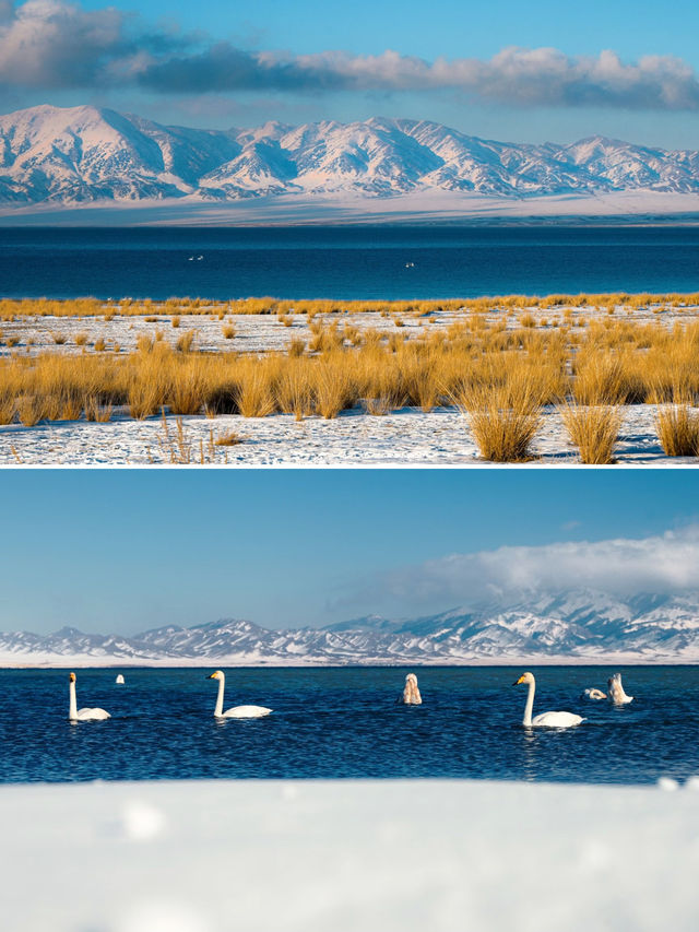 闖入阿勒泰與賽里木湖做一場遠方的夢