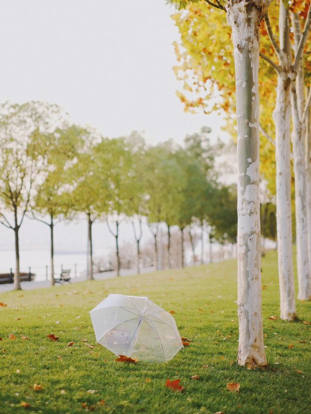 從雅格歡聚酒店出發，解鎖濱江秋日旅拍的N種浪漫