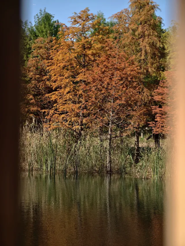原圖直出的地方終於找到了附路線攻略