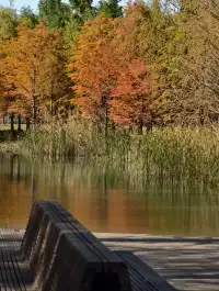 原圖直出的地方終於找到了附路線攻略