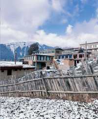 秋日限定甘南等地要去錯過等一年