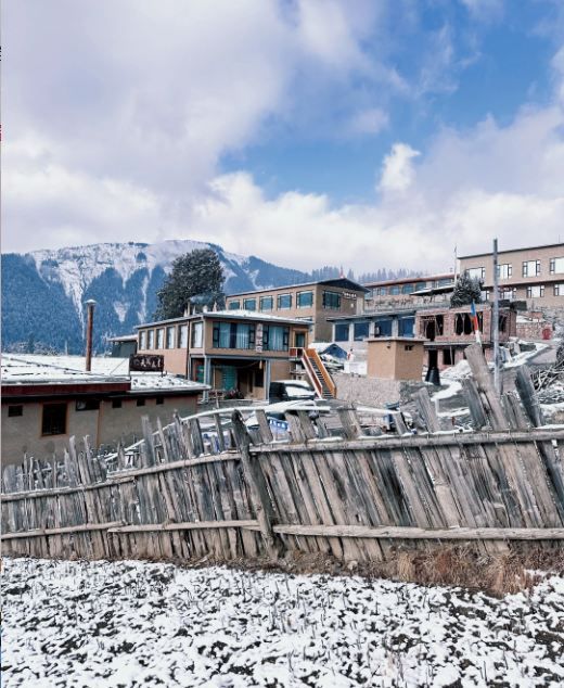 秋日限定甘南等地要去錯過等一年