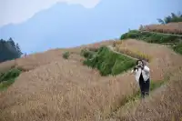 免費逛浙江第二至第七站