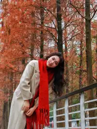 落羽杉紅啦！週末逛個公園也能拍秋日大片！